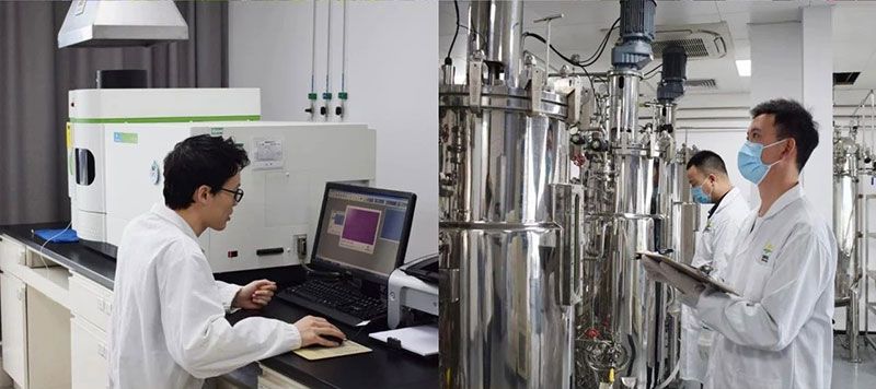 打造新朝陽(yáng)生物科技“五張名片”,服務(wù)農(nóng)業(yè)高質(zhì)量發(fā)展!