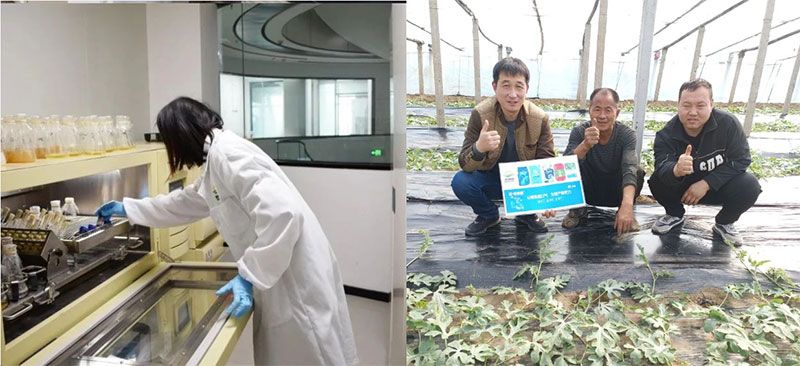 打造新朝陽(yáng)生物科技“五張名片”,服務(wù)農(nóng)業(yè)高質(zhì)量發(fā)展!