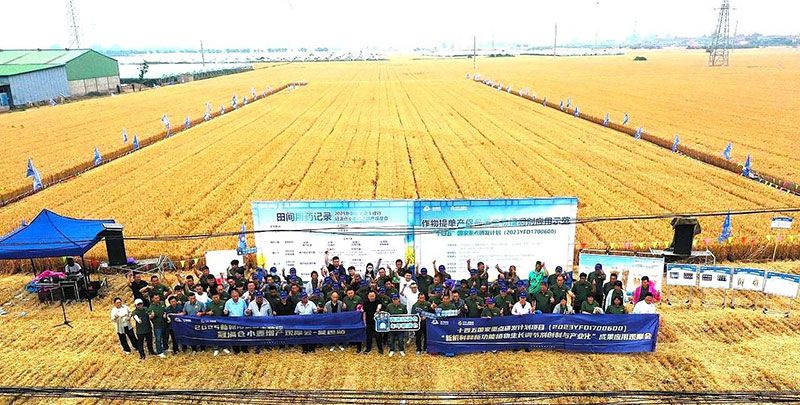 生物技術助力糧食單產顯著提升-“十四五”國家重點研發計劃成果應用觀摩會圓滿落幕
